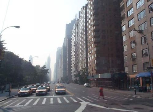 A view of Central Park versus de city