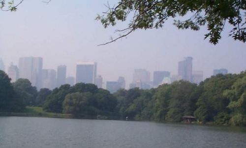 Photo: New York as seen from Central Park