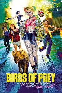 Birds of Prey: And the Fantabulous Emancipation of One Harley Quinn (2020)
