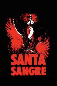 Santa Sangre (1989)