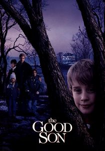 The Good Son (1991)
